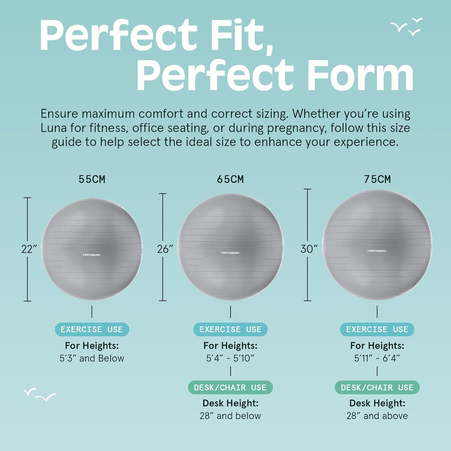 Retrospec Luna Exercise Ball with Pump – Anti-Burst Fitness Equipment for Yoga, Core Training & Stability – Home Gym Swiss Ball for Office & Pregnancy(Fossil Gray)