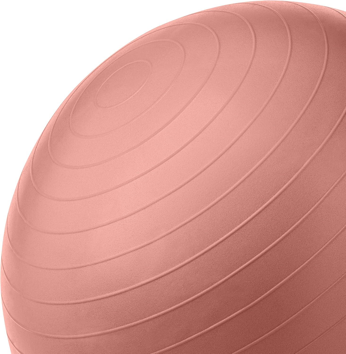Retrospec Retrospec Luna Exercise Ball(Rose)