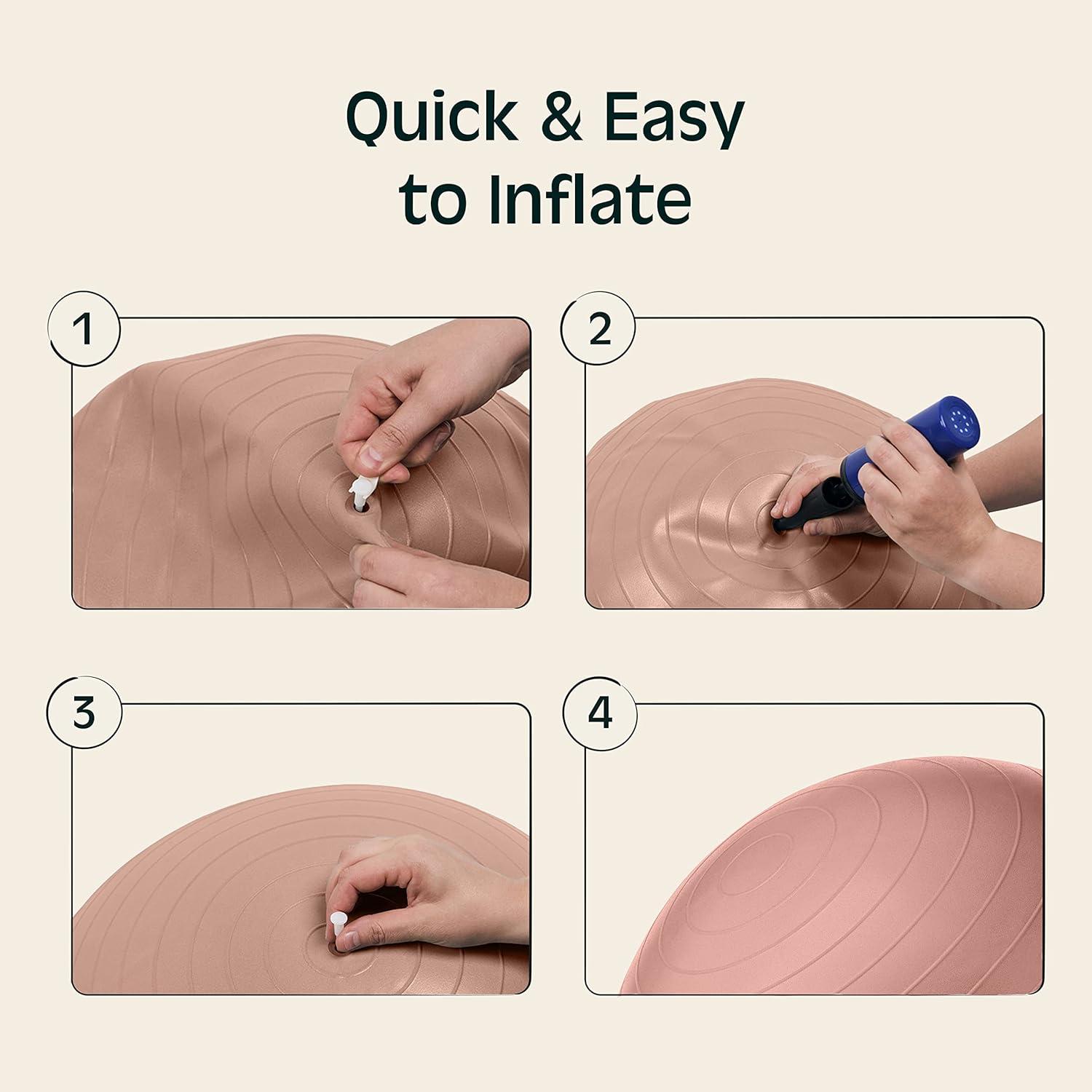 Retrospec Retrospec Luna Exercise Ball(Rose)