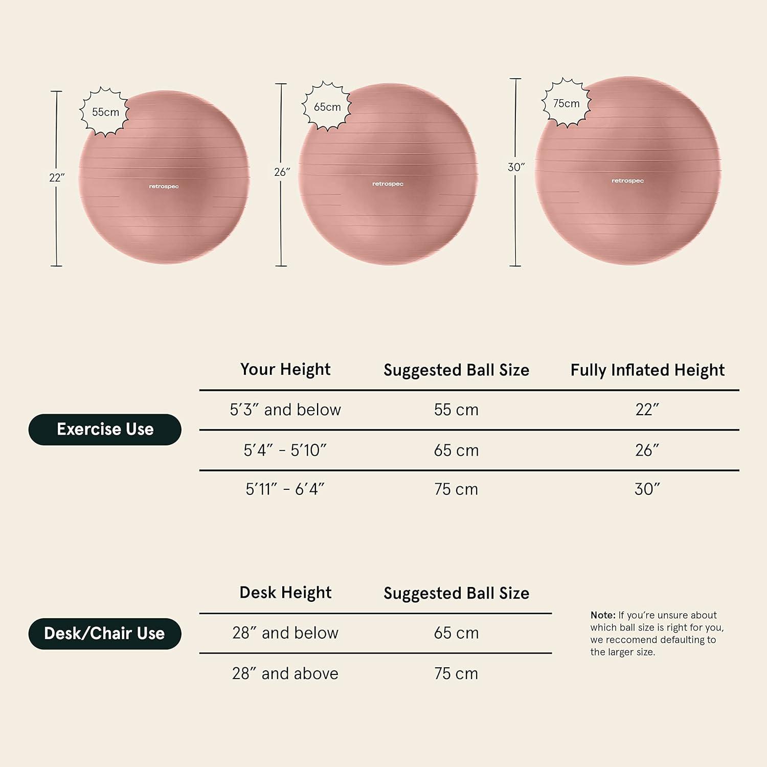 Retrospec Retrospec Luna Exercise Ball(Rose)